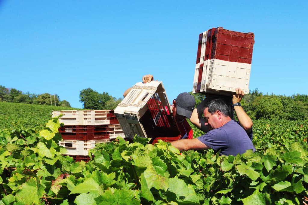 Domaine Naudin à Magny-lès-Villers