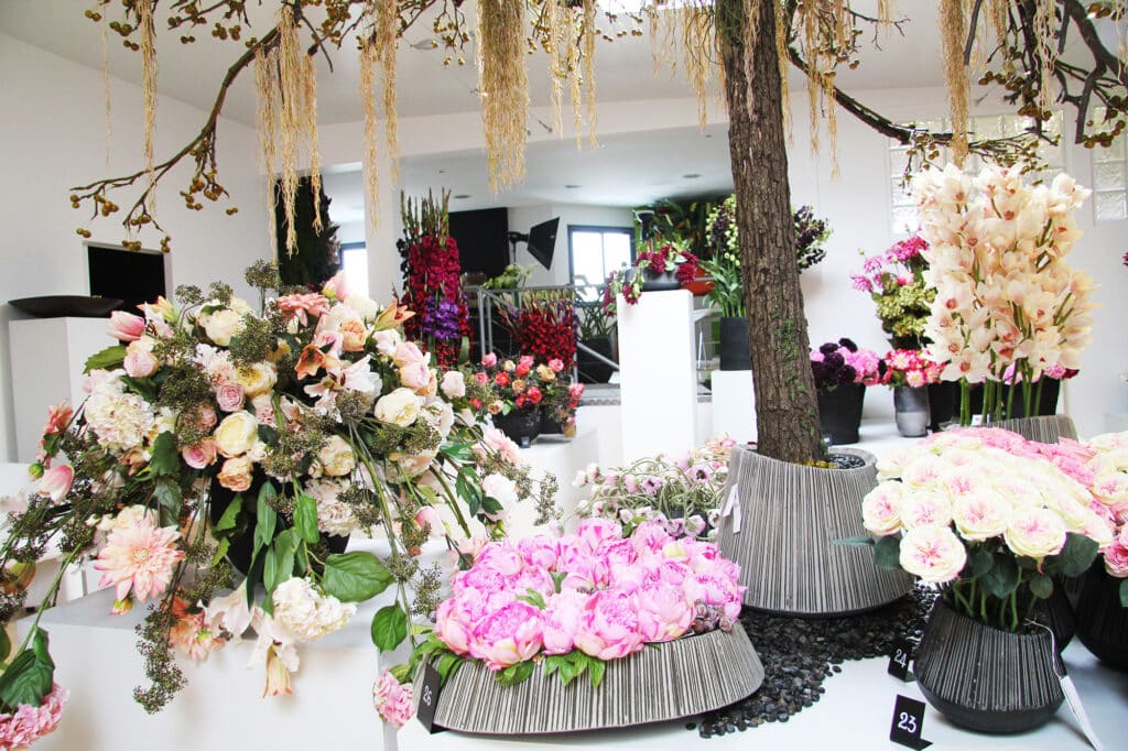 Photographies de produits, packshots pour les professionnels