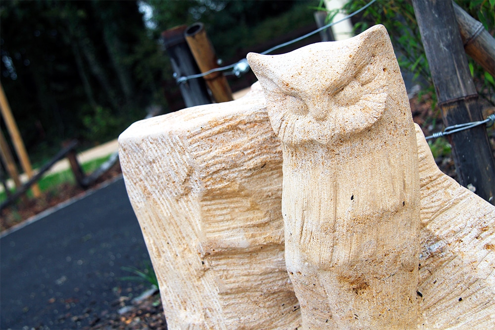 Reportages photographiques et portraits pour les entreprises à Dijon