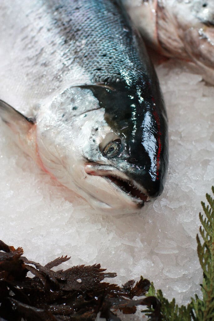 Reportages photographiques et portraits pour les entreprises à Dijon
